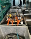 20ft Offshore Container DnV 2.7-1 thumbnail